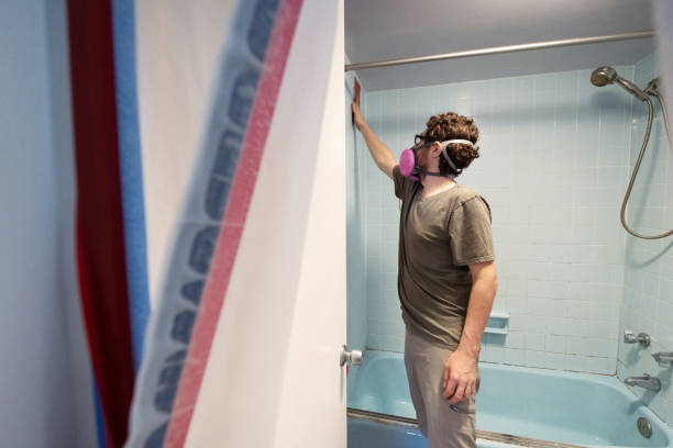 Mold Odor Removal Services in Lakeview, CA