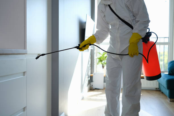 Best Asbestos and Lead Testing During Mold Inspection  in Lakeview, CA