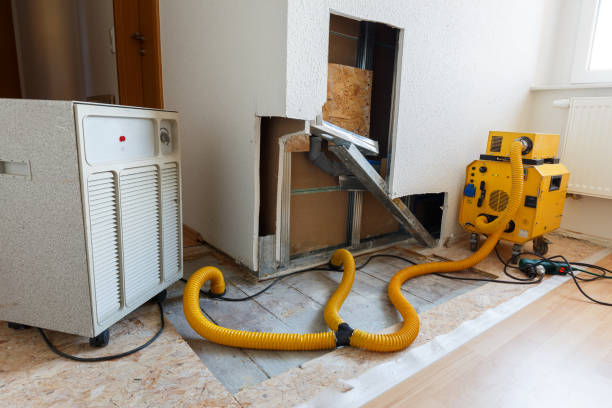 Best Flood Damage  in Lakeview, CA