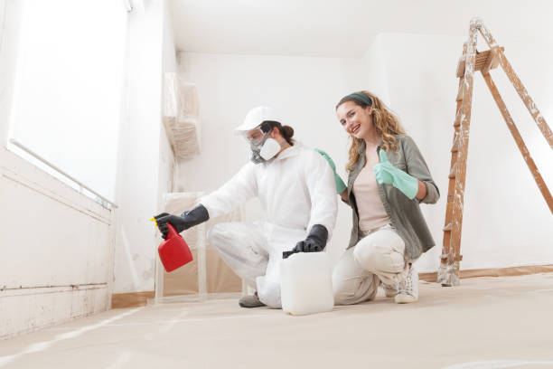 Best Indoor Air Quality Assessment  in Lakeview, CA